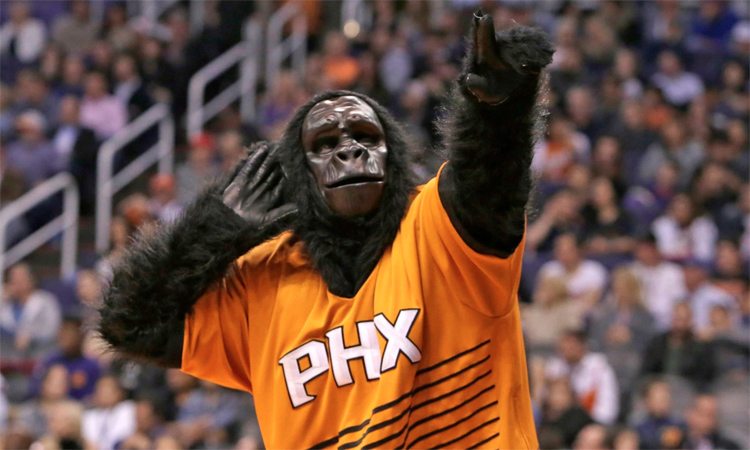 Former Suns Gorilla finds a voice for self-improvement, motivation ...