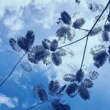 胡八一競(jìng)彩