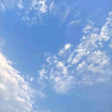 秦川