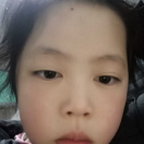 櫻花木