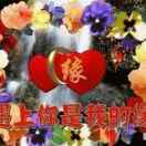 好人好夢