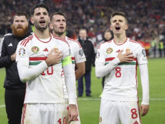 2024欧洲杯巡礼前瞻之匈牙利：东欧黑马重现辉煌