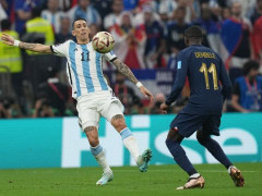 2024美洲杯阿根廷阵容名单详情一览