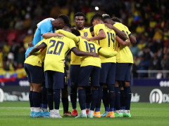 6.23美洲杯比赛前瞻：厄瓜多尔vs委内瑞拉比分预测