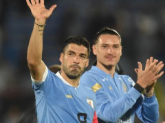美洲杯小组赛关键战 乌拉圭vs玻利维亚首发阵容名单预测 乌拉圭豪取胜利？
