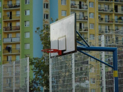 曝郭艾伦将两年顶薪签约广州男篮 结束辽篮14年征程开启新生涯