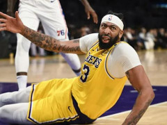 猛龙vs湖人直播在线-NBA常规赛（2024年11月11日）