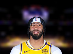 NBA每日篮板王：安东尼·戴维斯14篮板(2024年11月20日)