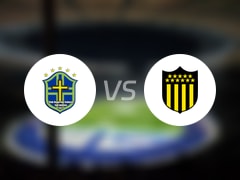 【解放者杯】圣安东尼奥布鲁布鲁vs佩纳罗尔伤病名单最新(2025年05月07日) 