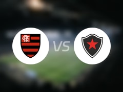 【巴西杯】弗拉门戈vs博塔弗戈PB比赛结果：弗拉门戈(4-2)博塔弗戈PB比分战报(2025年05月22日)