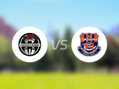 天皇杯比赛前瞻：福山市FCvsFC德岛预测分析(2025年05月25日)