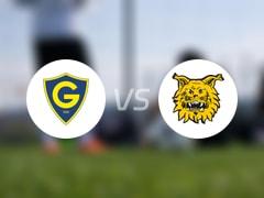  【芬兰杯】格尼斯坦vs埃尔维斯比赛结果：格尼斯坦(3-0)埃尔维斯比分战报(2025年05月28日) 