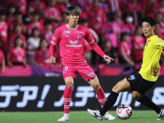  日联杯——大阪樱花vs横滨FC比分预测 大阪樱花四连不败，横滨FC客场战力有限 