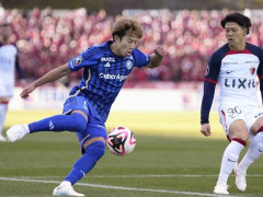日职联焦点：新泻天鹅VS町田泽维亚比分预测，天鹅主场城池难守