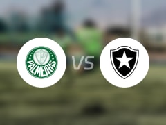  【世俱杯1/8决赛】帕尔梅拉斯vs博塔弗戈直播在线观看(2025年06月29日) 