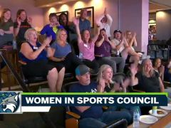 WNBA常規(guī)賽:芝加哥天空vs明尼蘇達山貓第3節(jié)英文原聲回放