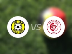 捷克杯比赛前瞻：FC捷欣vs特里内茨预测分析(2025年07月26日)