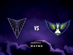 WNBA常規(guī)賽：達拉斯飛翼vs金州瓦爾基里第3節(jié)中文解說回放
