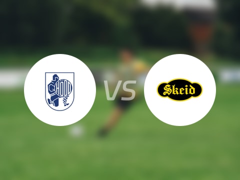 【挪甲】賀特vs斯吉德比賽結(jié)果：賀特(1-1)斯吉德比分戰(zhàn)報(bào)(2025年08月17日)