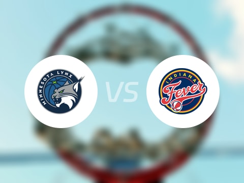 【WNBA】山猫vs狂热录像回放在线观看(2025年08月23日)
