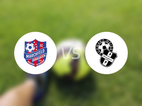 【奧地利杯】曼斯多夫vs布雷根茨比賽結果：曼斯多夫(0-2)布雷根茨比分戰(zhàn)報(2025年08月27日)