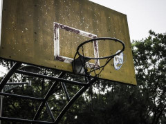 上海男籃迎來重大補強？多名CBA媒體人暗示上海男籃在球員市場上有了新的收獲