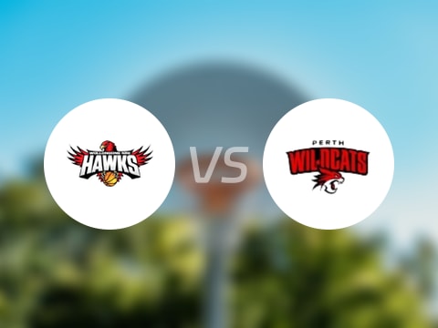 NBL比賽前瞻：伊拉瓦拉老鷹vs珀斯野貓預測分析(2025年08月29日)