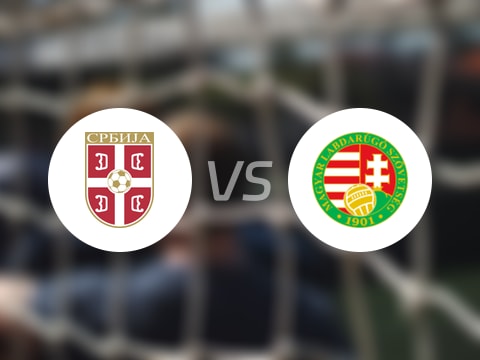 【国际友谊】塞尔维亚U19vs匈牙利U19比赛结果:塞尔维亚U19(3-1)匈牙利U19比分战报(2025年09月06日)