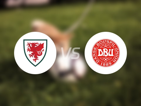 【歐青U21外】威爾士U21vs丹麥U21比賽結果：威爾士U21(2-6)丹麥U21比分戰(zhàn)報(2025年09月09日) 