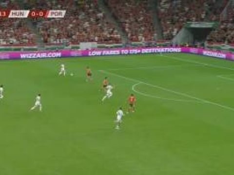 [進(jìn)球視頻]葡萄牙0-1落后！瓦爾加門前頭球擊中立柱彈入網(wǎng)窩