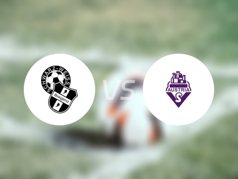 奥乙比赛前瞻：布雷根茨vs奥地利萨尔斯堡预测分析(2025年09月27日)