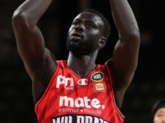 NBL常规赛比分预测今日推荐|珀斯野猫vs伊拉瓦拉老鹰预测分析10.2