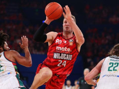  NBL常规赛前瞻珀斯野猫VS凯恩斯太攀蛇预测分析（10月10日）阿丘尔vs麦克维 
