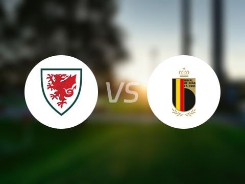【欧青U21外】威尔士U21vs比利时U21比赛结果:威尔士U21(0-7)比利时U21比分战报(2025年10月11日)