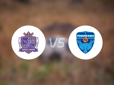 日联杯比赛前瞻：广岛三箭vs横滨FC预测分析(2025年10月12日)