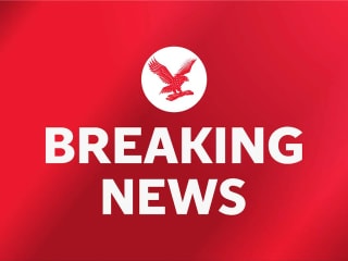 前英超球员因XL恶霸犬袭击事件被罚款