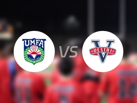 冰岛超比赛前瞻：阿费查尔丁vs维斯特里预测分析(2025年10月19日)