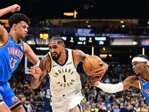 全场回放 (罗森)