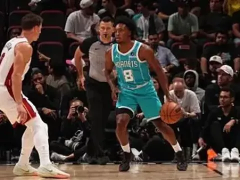 全场回放 (刘芳宇)