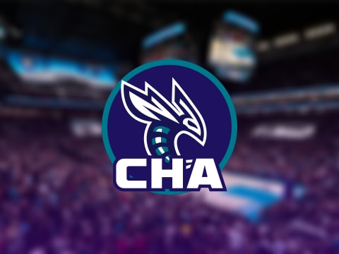 黄蜂伤病报告:鲍尔因脚踝受伤出战成疑(2025年11月02日)