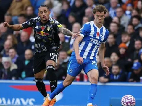 【英超联赛第10轮】布莱顿vs利兹联录像回放在线观看(2025年11月01日)