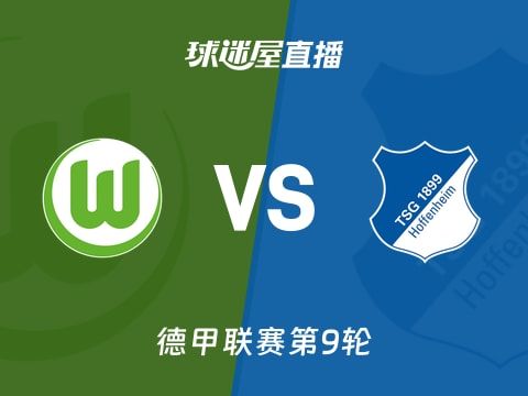 【德甲联赛第9轮】沃尔夫斯堡vs霍芬海姆直播在线观看(2025年11月03日)