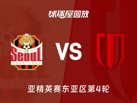 FC首尔vs成都蓉城回放录像【2025年11月04日】