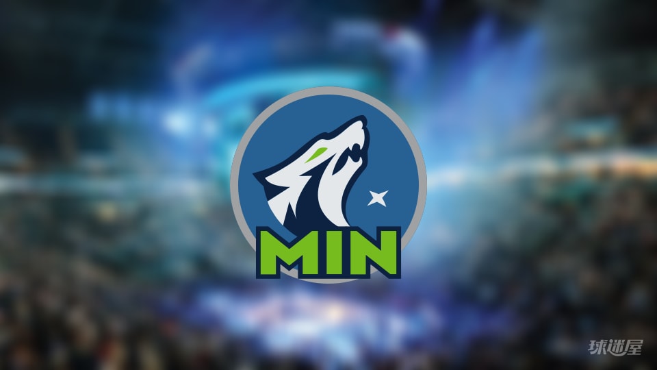 森林狼伤病报告:爱德华兹因腿筋受伤出战成疑(2025年11月08日)