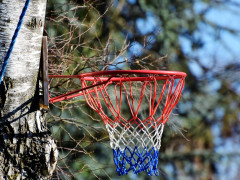 全运男篮提前诞生两个八强：四川+辽宁均3战全胜 提前晋级出线