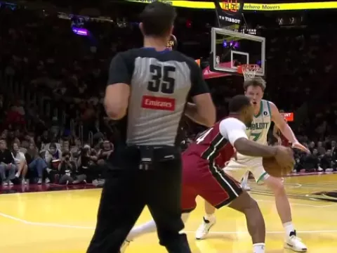 【全场回放】 热火vs黄蜂 (刘芳宇)