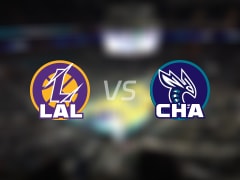 赛事前瞻：湖人vs黄蜂预测分析(2025年11月11日)