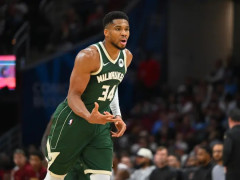 NBA常规赛雄鹿vs黄蜂 雄鹿伤病报告出炉！字母哥左膝肌腱炎出战成疑