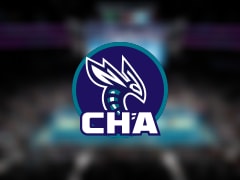 黄蜂伤病报告：鲍尔因脚踝受伤无法出场(2025年11月13日)