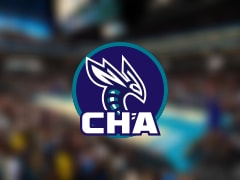 黄蜂伤病报告：鲍尔因脚踝受伤无法出场(2025年11月15日)